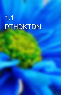 1.1 PTHĐKTDN