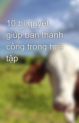 10 bí quyết giúp bạn thành công trong học tập