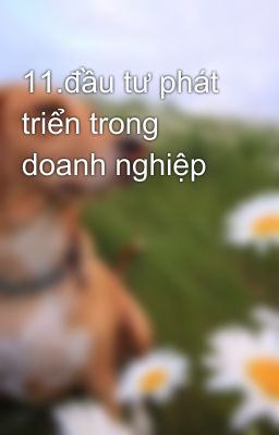 11.đầu tư phát triển trong doanh nghiệp