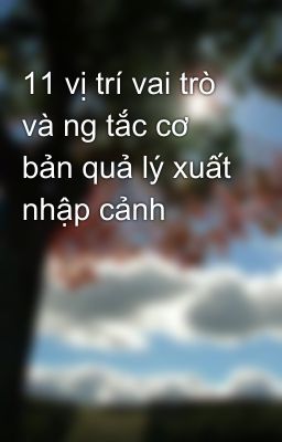 11 vị trí vai trò và ng tắc cơ bản quả lý xuất nhập cảnh