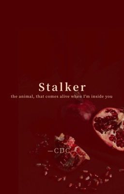 |18+|Stalker|Đeo đuổi