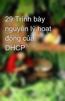 29:Trình bày nguyên lý hoạt động của DHCP