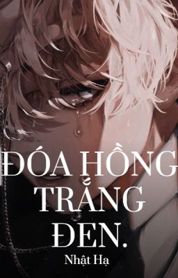 [AllTake] [Drop] Đóa hồng trắng đen.