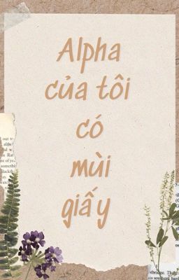 Alpha của tôi có mùi giấy