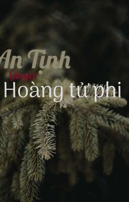 An Tịnh Hoàng Tử Phi