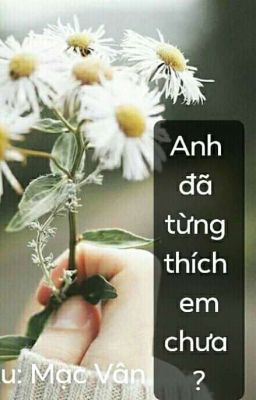 Anh đã từng thích em chưa ?