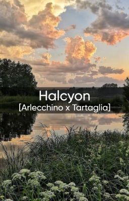 [Arlecchino x Tartaglia] - Halcyon