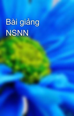 Bài giảng NSNN