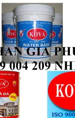 Bán sơn giả đá KOVA gía rẻ LONG AN 0919 004 209 nhiên