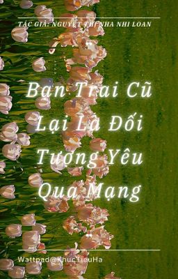 Bạn Trai Cũ Lại Là Đối Tượng Yêu Qua Mạng