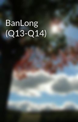 BanLong (Q13-Q14)