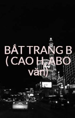 BẤT TRANG B ( CAO H, ABO văn)