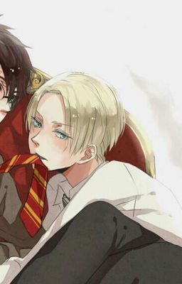 Best Pics Of Harry x Draco