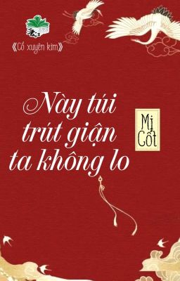 [BHTT] [QT] Này Túi Trút Giận Ta Không Lo - Mị Cốt