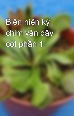 Biên niên ký chim vặn dây cót phần 1