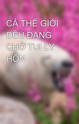 CẢ THẾ GIỚI ĐỀU ĐANG CHỜ TUI LY HÔN