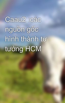 Caau2 :các nguồn gốc hình thành tư tưởng HCM