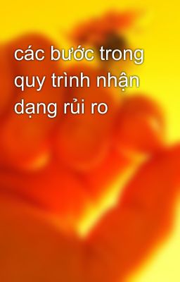 các bước trong quy trình nhận dạng rủi ro