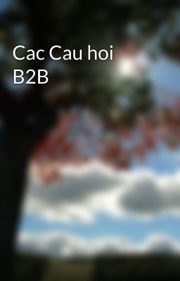 Cac Cau hoi B2B