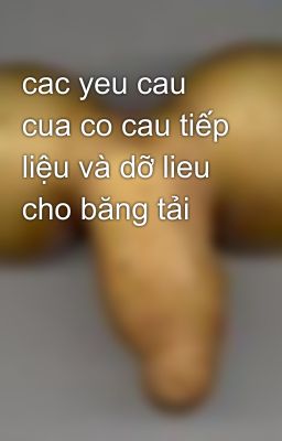 cac yeu cau cua co cau tiếp liệu và dỡ lieu cho băng tải