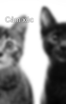 Cảm xúc