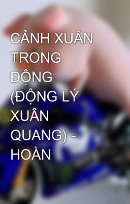 CẢNH XUÂN TRONG ĐỘNG  (ĐỘNG LÝ XUÂN QUANG) - HOÀN