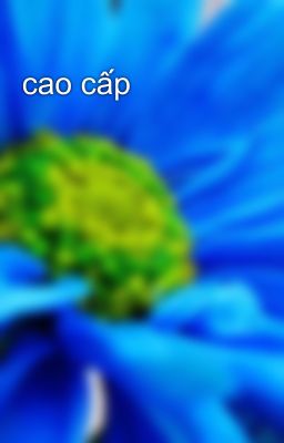 cao cấp