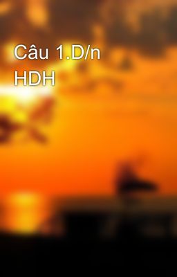 Câu 1.D/n HDH