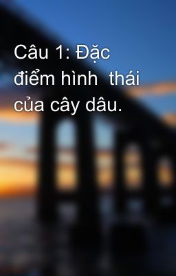 Câu 1: Đặc điểm hình  thái của cây dâu.