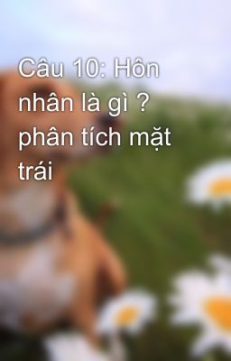 Câu 10: Hôn nhân là gì ? phân tích mặt trái