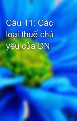 Câu 11: Các loại thuế chủ yếu của DN