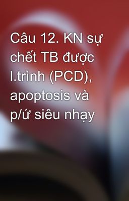 Câu 12. KN sự chết TB được l.trình (PCD), apoptosis và p/ứ siêu nhạy