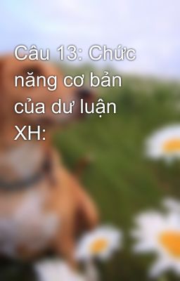 Câu 13: Chức năng cơ bản của dư luận XH: