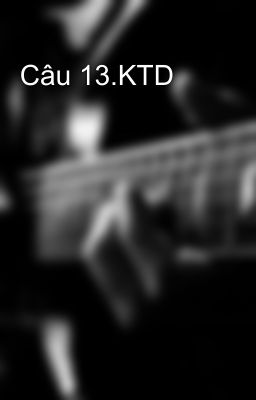 Câu 13.KTD