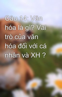 Câu 14: Văn hóa là gì? Vai trò của văn hóa đối với cá nhân và XH ?