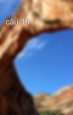 câu 19