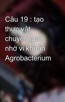 Câu 19 : tạo thực vật chuyển gen nhờ vi khuẩn Agrobacterium