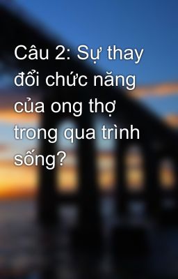 Câu 2: Sự thay đổi chức năng của ong thợ trong qua trình sống?