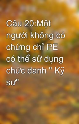 Câu 20:Một người không có chứng chỉ PE có thể sử dụng chức danh 