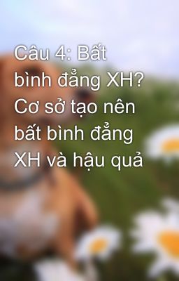 Câu 4: Bất bình đẳng XH? Cơ sở tạo nên bất bình đẳng XH và hậu quả