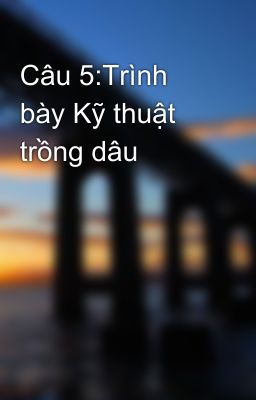 Câu 5:Trình bày Kỹ thuật trồng dâu