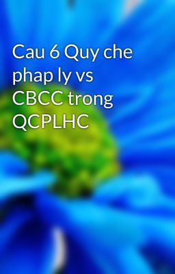 Cau 6 Quy che phap ly vs CBCC trong QCPLHC