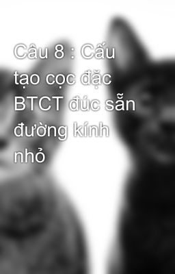 Câu 8 : Cấu tạo cọc đặc BTCT đúc sẵn đường kính nhỏ