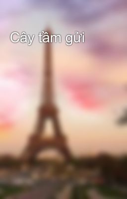 Cây tầm gửi