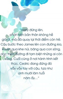 [Cedric x Harry] Giấc mơ mùa hạ