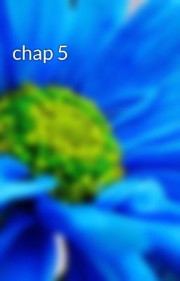 chap 5