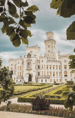 Château de Lavender : Giá như chưa từng thích cậu