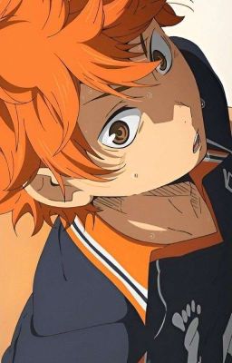 Chiếm Hữu [AllHinata] {Haikyuu} (R18)