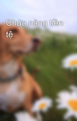 Chức năng tiền tệ