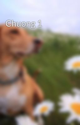 Chuong 1